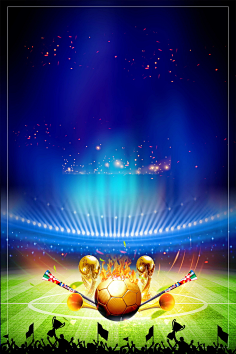 球迷的支持 球迷的支持