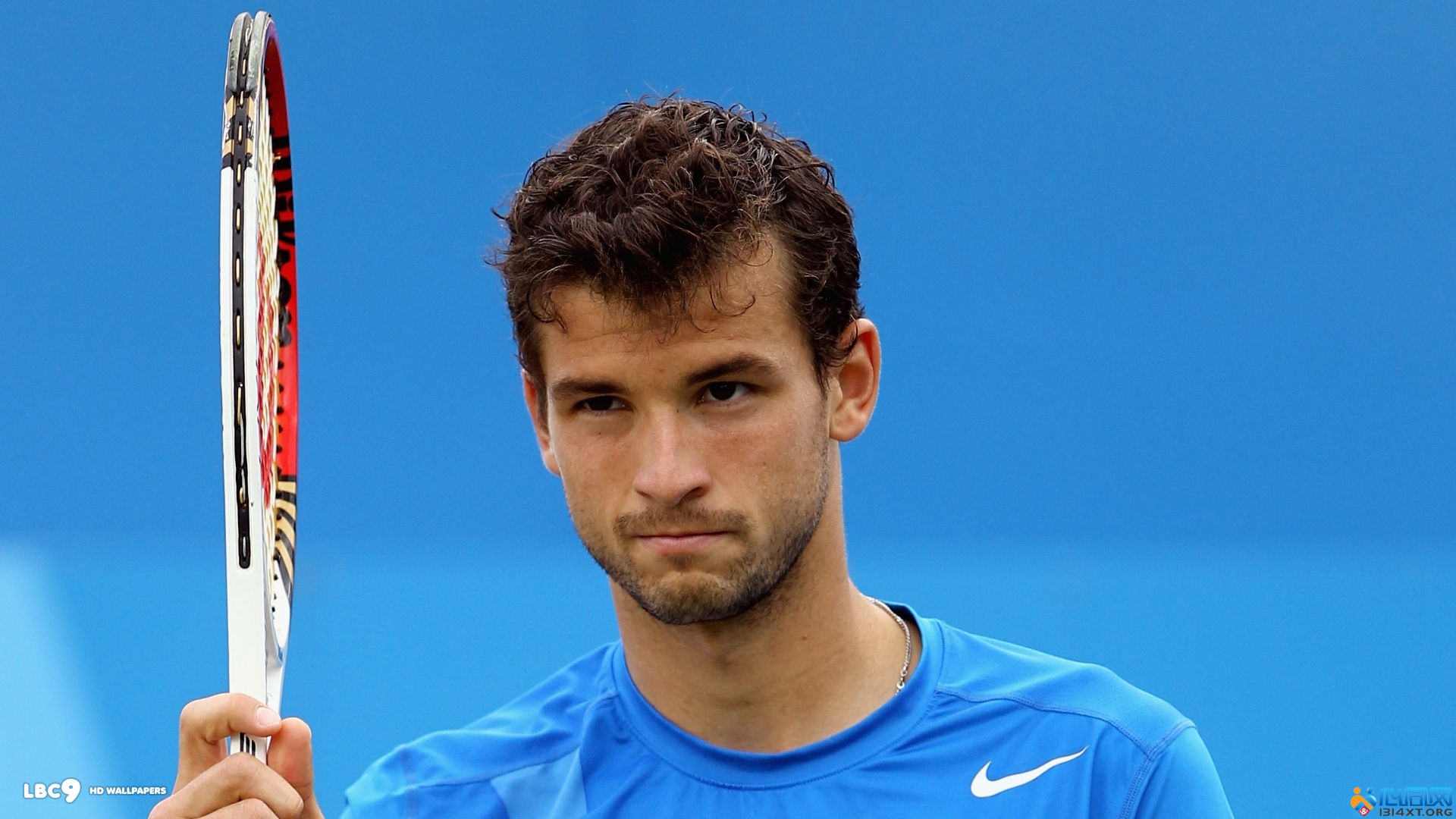 我们击败了 我们击败了